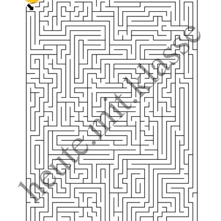 Labyrinth: Für Profis - Logisches Denken fördern!