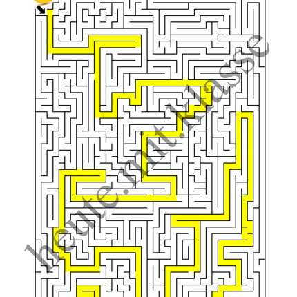 Labyrinth: Für Profis - Logisches Denken fördern!