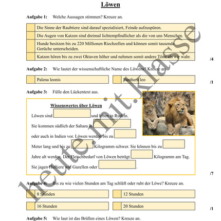 Übung zum Hörverstehen: Geolino-Podcast "Löwen"