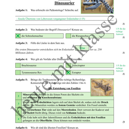 Übung zum Hörverstehen: Geolino-Podcast "Dinosaurier" (Fossilien)