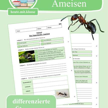 Übung zum Hörverstehen: Geolino-Podcast "Das Superinsekt: Ameisen"
