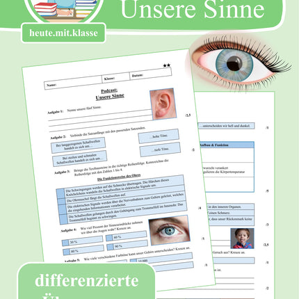 Übung zum Hörverstehen: Geolino-Podcast "Unsere Sinne"