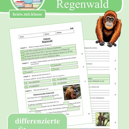 Übung zum Hörverstehen: Geolino-Podcast "Regenwald"