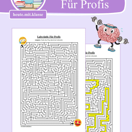 Labyrinth: Für Profis - Logisches Denken fördern!