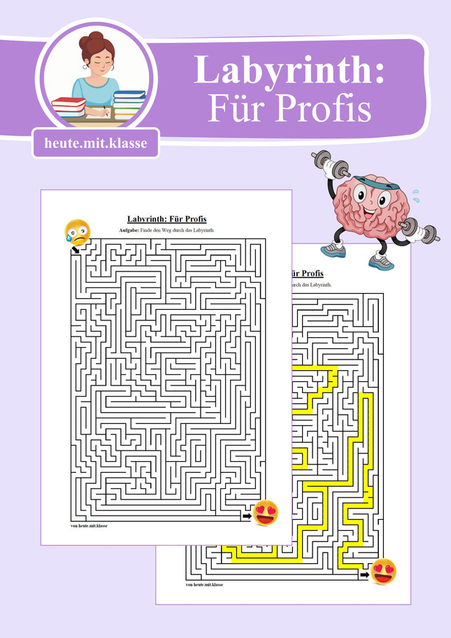 Labyrinth: Für Profis - Logisches Denken fördern!