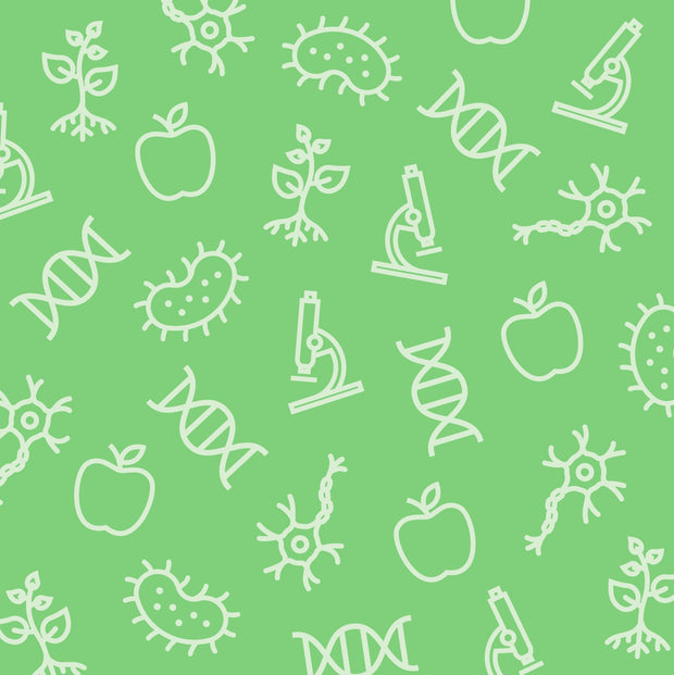 Banner image for: <h1><strong>Biologie</strong></h1>